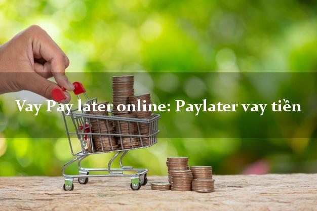 Vay Pay later online: Paylater vay tiền nhanh nhất 24/24h